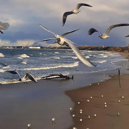 Apartament Mazurska Z Widokiem Na Morze *