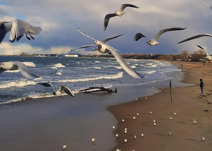 Apartman Mazurska Z Widokiem Na Morze *